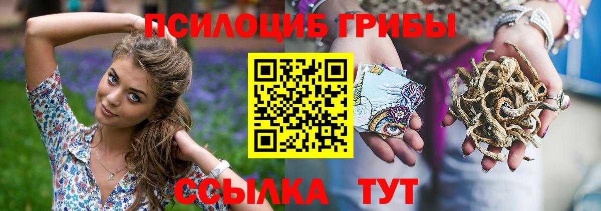 Видное  Псилоцибиновые грибы Cubensis  Галлюциногенные грибы ЛСД  Вход с VPN 