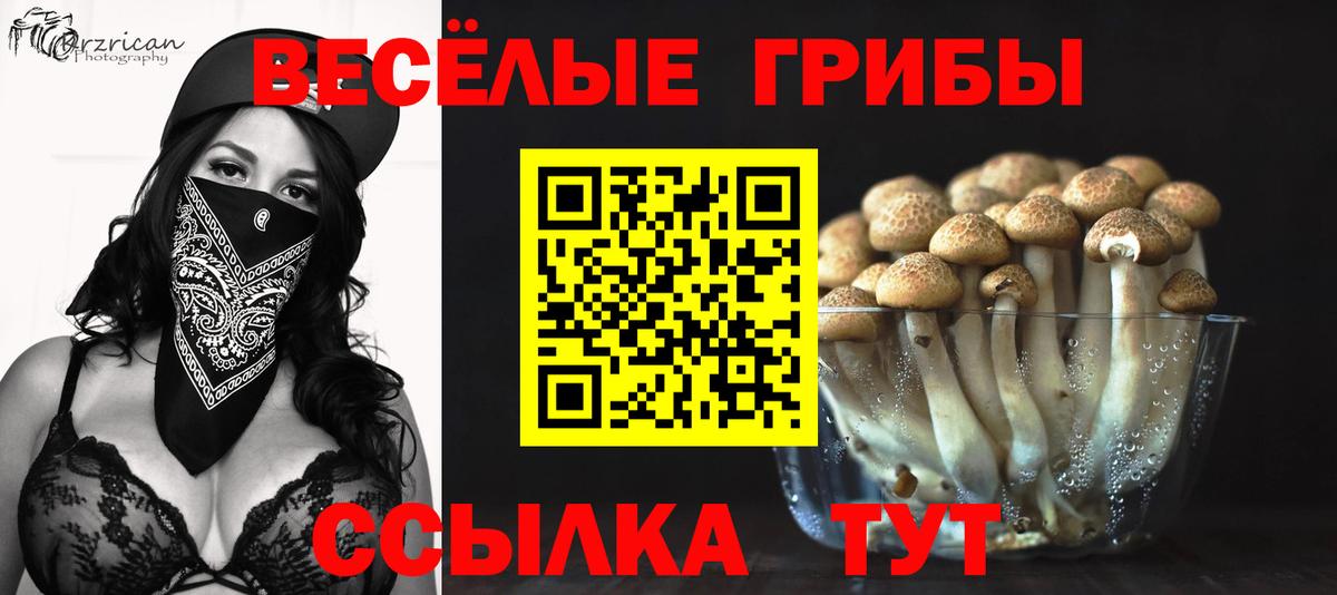 Псилоцибиновые грибы мицелий Видное